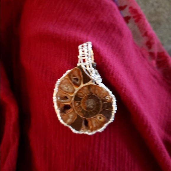 ✨Gorgeous ULTRA RARE Cleoniceras necklace ✨ - Picture 4 of 6